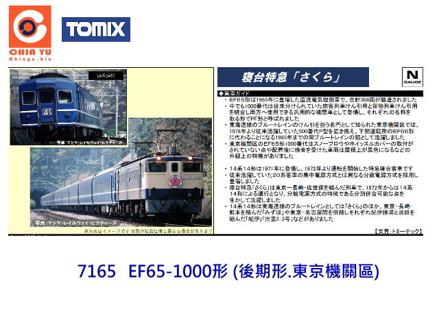 TOMIX-7165-EF65-1000 (.Fʾ)-w